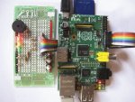 Raspberry Patch Kiwi  Prototyping  Board.jpg
